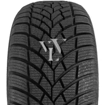 RoadX Frost Tempo 225/55 R16 99V XL