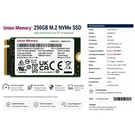 Lenovo UMIS AM620 256 GB M.2