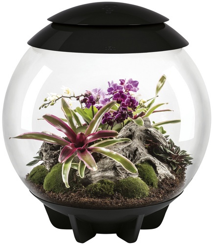 OASE Terrarium »AIR 60«, mit LED Beleuchtung, 60 l, schwarz