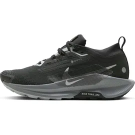 Nike Pegasus Trail 5 Damen Black / Wolf Grau 39