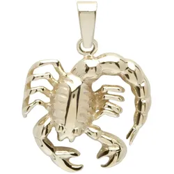 Ketten-Anhänger OSTSEE-SCHMUCK "Ostsee-Schmuck Anhänger Tierkreiszeichen Skorpion", gelb, Schmuckanhänger, Damen, 25 x 19mm, Gelbgold 333, 2.2 g