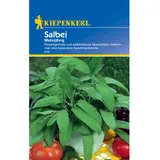 Kiepenkerl Salbei Mehrjährig