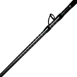 Ftm Greenlight 3,00m 20-50g