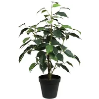 Seidenblumen Roß Ficus Benjamini 48cm im Topf LA Kunstpflanze