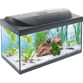 Tetra Starter Line 54 l Komplettset blau/schwarz