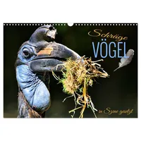 Calvendo Schräge Vögel in Szene gesetzt (Wandkalender 2026 DIN