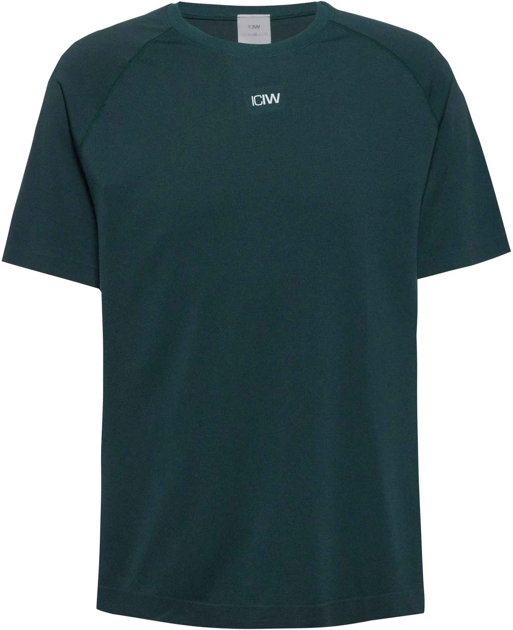 ICANIWILL Stride Funktionsshirt Herren in wet green, Größe M - grün