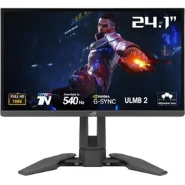 Asus ROG Swift PG248QP 24,1" schwarz