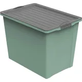 Rotho Aufbewahrungsbox 70l mit Deckel und Rollen, Kunststoff (PP recycelt) BPA-frei, grün/anthrazit, A3/70l 57,0 x 39.5 x 43.5 cm)
