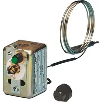 Jumo 60002244 Temperaturbegrenzer