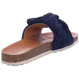 Verbenas Roxy Roda blau 39