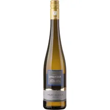 Weingut Spreitzer Riesling trocken