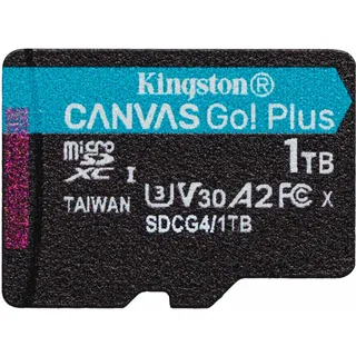 Kingston Canvas Go! Plus Gen4 1TB microSDXC Speicherkarte (200 MB/s, A2 U3)