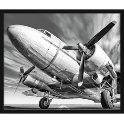 ANY IMAGE Digitaldruck »Altes Flugzeug«, Rahmen: Buchenholz, Schwarz