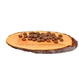 CARNILOVE Puppy Large Breed Lachs & Truthahn 12 kg