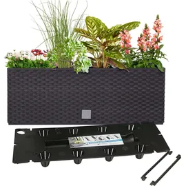 Prosperplast Rato Case 51,4 x 19 x 18,65 cm Anthrazit