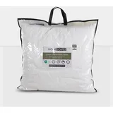 Homescapes Schafwollkissen 80 X 80 cm mit Wollfüllung & wattiertem Bezug - Homescapes Kopfkissen 80x80 Füllung aus Schafwolle - mittelweiches Wollkissen mit Baumwoll-Bezug