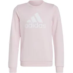 ADIDAS Kinder Sweatshirt Essentials Big Logo, CLPINK/WHITE, 164