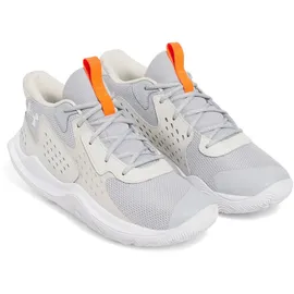 Under Armour Jet '23 Basketballschuhe grau, Größe 47