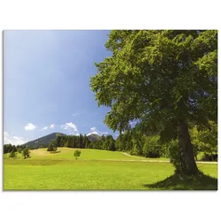 Glasbild ARTLAND "Bayrische Landschaft", grün (farbe bild(er): grün), B:60cm H:45cm, Bilder, in verschiedenen Größen