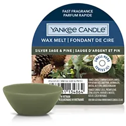 YANKEE CANDLE Silver Sage and Pine Signature Kerzen 22 g