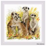 Riolis Kreuzstich-Set Erdmännchen, Zählmuster