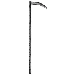 Sense, 140 cm