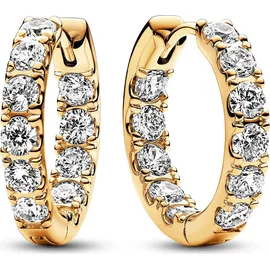 Pandora Creolen Timeless 263002C01 - gold