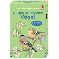 Usborne Verlag Natur-Entdecker-Karten: Unsere heimischen Vögel