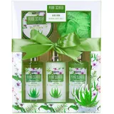Brubaker Cosmetics Dusch- Set Aloe Vera - 5-teiliges Geschenkset