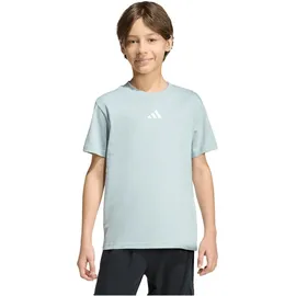 adidas Essentials T-Shirt Kinder KD3367 - wonder sage/white 152