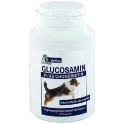 Glucosamin+chondroitin Kapseln für Hunde