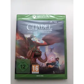 Citadel Forged with Fire (Microsoft Xbox One 2019)