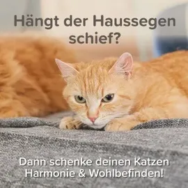 beaphar CatComfort Excellence Nachfüll-Flakon für Verdampfer 48 ml