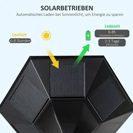 Outsunny Solar Gartenlaterne Laterne Gartenleuchte Wegleuchte mit 19 LED 130 Lumen 3000K Aluminium gehärtetes Glas Schwarz 22 x 22 x 194 cm