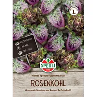 Sperli Gemüsesamen, Rosenkohl Flower Sprouts® | Autumn Star,