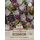 Sperli Gemüsesamen, Rosenkohl Flower Sprouts® | Autumn Star,