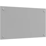 vidaXL Küchenrückwand Hellgrau, 70x40x0,6 cm Hartglas