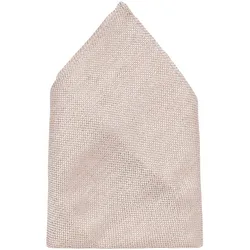 Fliege ETERNA, Herren, Gr. One Size, beige (champagner), Seide, Fliegen