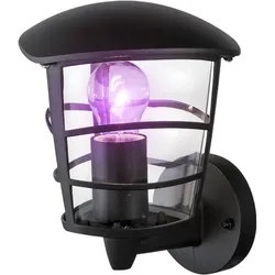 ALU Wand Laterne Fernbedienung Fassaden Hof Außen  Lampe dimmbar  im Set inkl. RGB LED Leuchtmittel