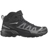 Salomon X Ultra 360 Mid GTX Herren Black/Magnet/Pewter 47 1/3