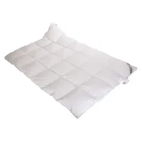 Betten Hofmann Belladream Daunendecke Daunenbett 4x6 135x200 100% Daunen Außensteg