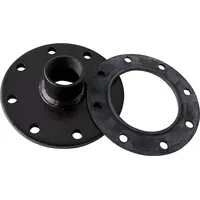 TWL Technologie Flanschplatte 8-loch 180 mm mit 1 1/2 Zoll Ig und Dichtung Adapter Elektroheizer