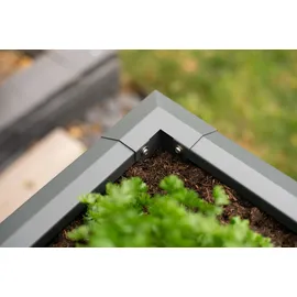 Westmann Primus M 100 x 50 x 77 cm Anthrazit