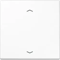Jung Steuertaste Standard Symbole Pfeile LS 1700 P WW