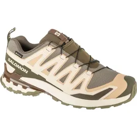 Salomon XA Pro 3D V9 GTX Herren Deep Lichen Green/Safari/Dark Earth 44 2/3