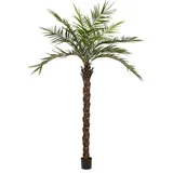 Europalms Kentia Palme deluxe, Kunstpflanze 300cm