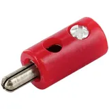 econ connect HOS25RT Miniatur-Bananenstecker Stecker Stift-Ø: 2.60 mm 1 St. Bulk