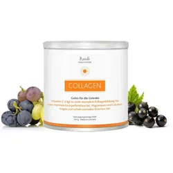 COLLAGEN GUTES für die Gelenke Pulver 300 g