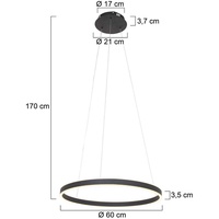 Steinhauer LED Pendelleuchte Ringlux Ø 60cm 2-flammig schwarz